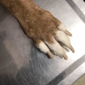 Meet your Posher, Celia